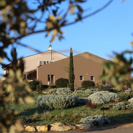 Agriturismo Le Piccole Macie Magliano in Toscana Exterior photo