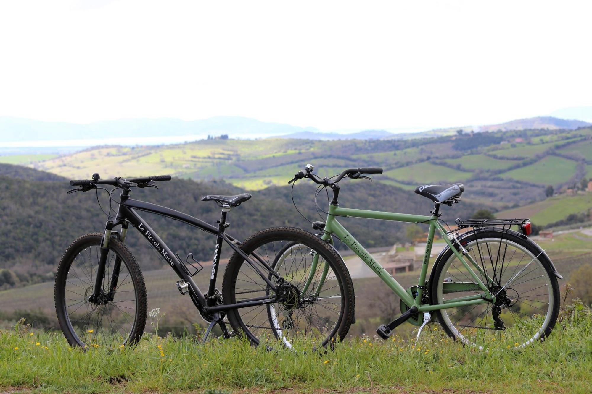 Agriturismo Le Piccole Macie Magliano in Toscana Exterior photo