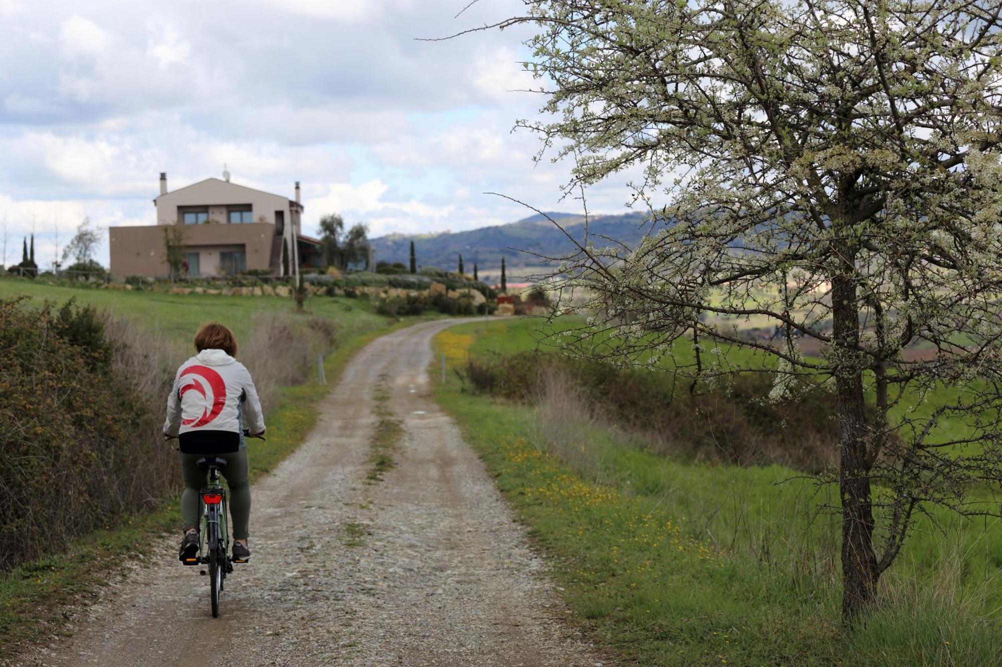 Agriturismo Le Piccole Macie Magliano in Toscana Exterior photo