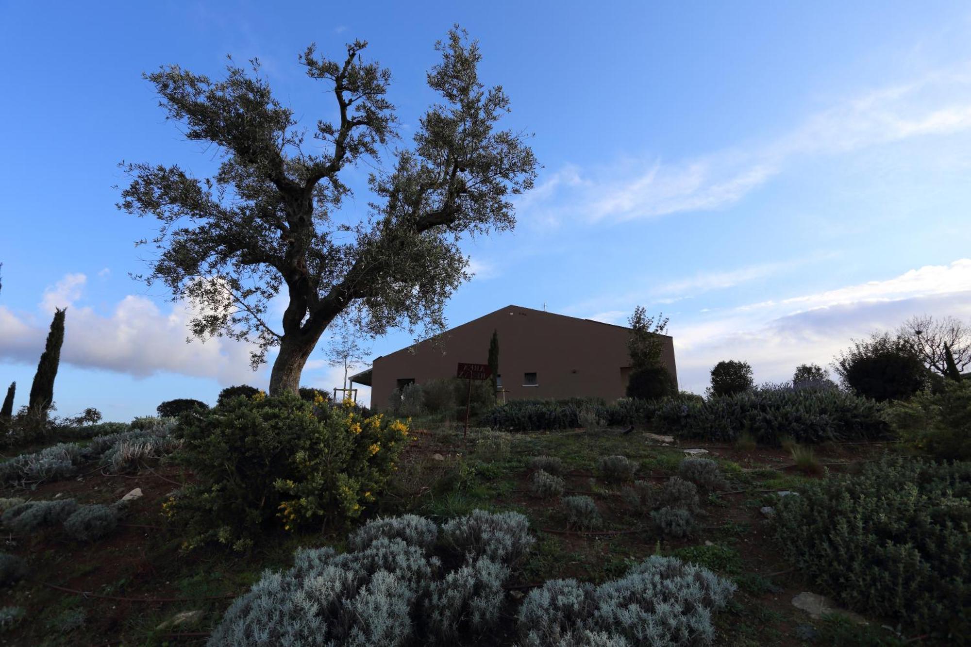 Agriturismo Le Piccole Macie Magliano in Toscana Exterior photo